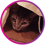 Allorah Gruvi Profile Pic