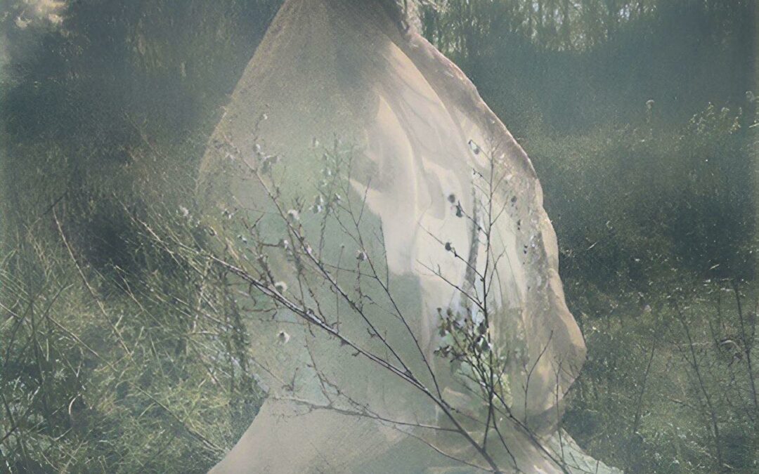 Veil